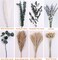 Dried Pampas Grass Boho Bouquet, Exquisite Lavender and Eucalyptus Dried Flower Arrangements for Western Boho Decor, Rustic Flowers